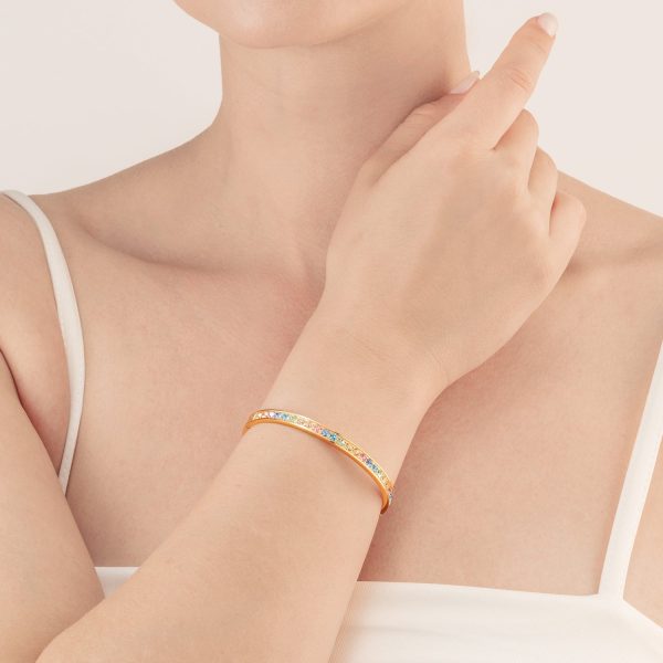 Bangle stainless steel & crystals gold multi pastel (size 19 cm) Online – Bild 4