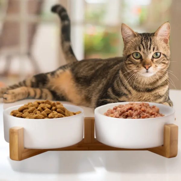 Futternäpfe mit   ohne Ständer - für Hunde und Katzen - hochwertige Keramik Online – Bild 5